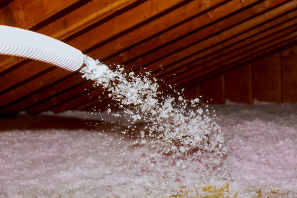Best Commercial Insulation in Ferry Pass, FL